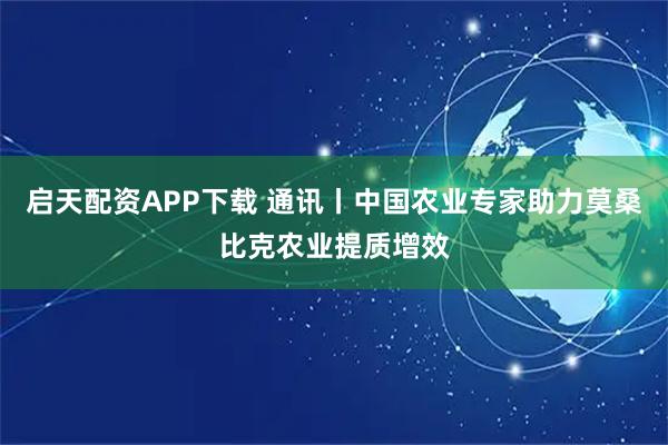 启天配资APP下载 通讯丨中国农业专家助力莫桑比克农业提质增效