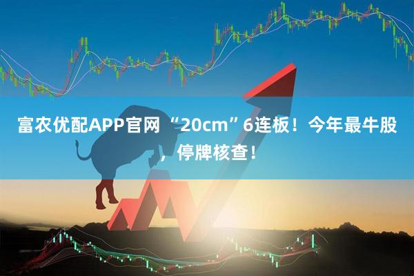富农优配APP官网 “20cm”6连板！今年最牛股，停牌核查！